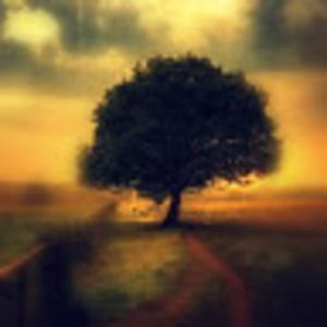 Meet your Posher, Norma